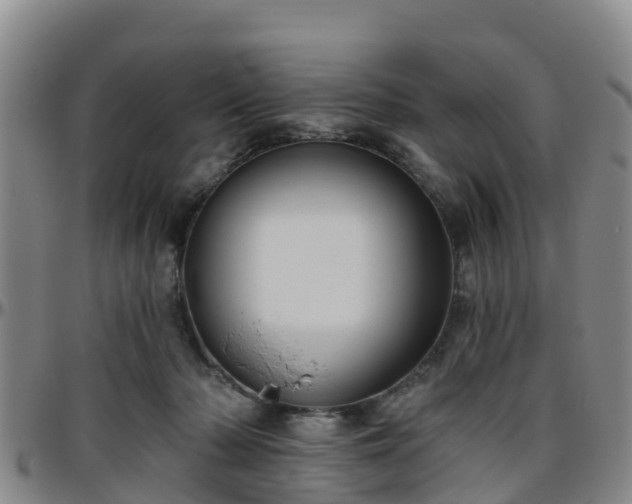 X0000096450318200801311456