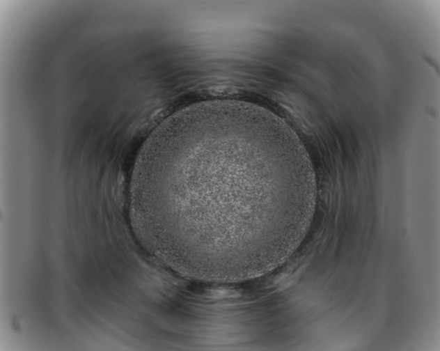 X0000096450319200801311456