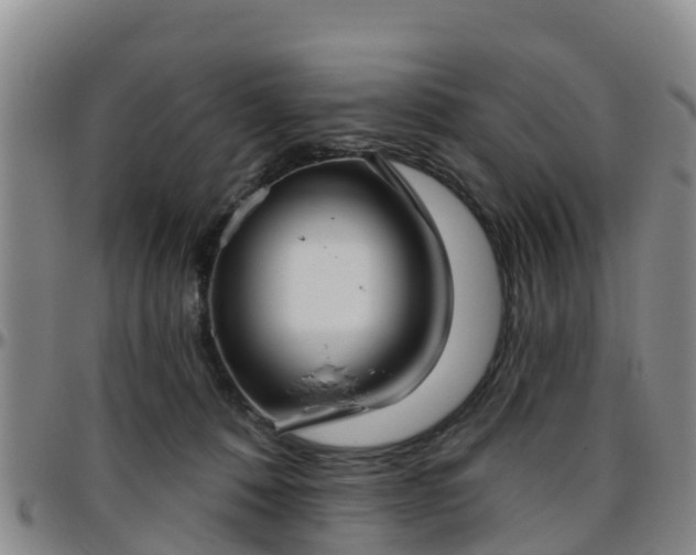 X0000096450320200801311456