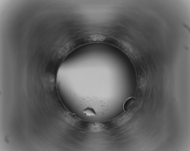 X0000096450321200801311456