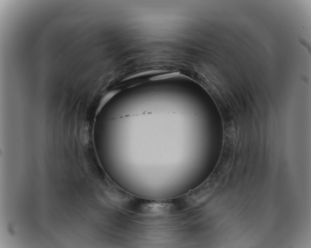 X0000096450323200801311456