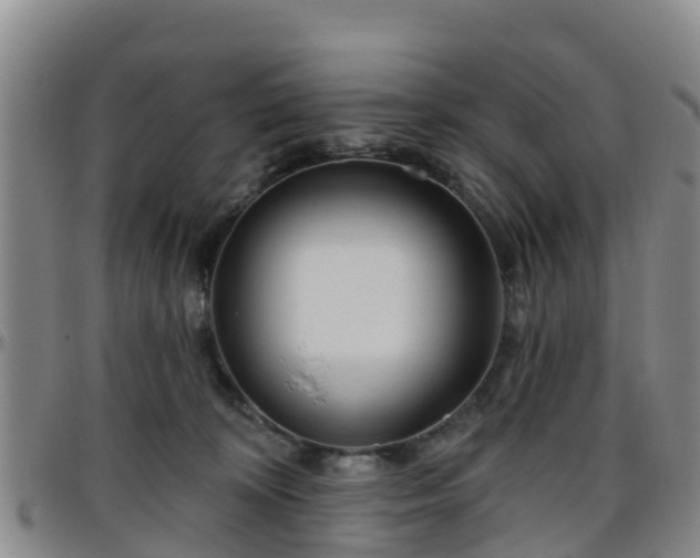 X0000096450324200801311456