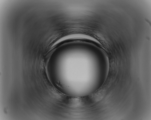 X0000096450325200801311456