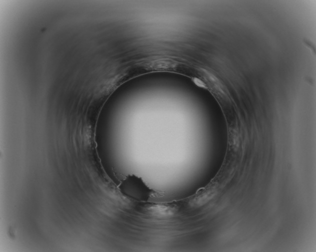 X0000096450326200801311456