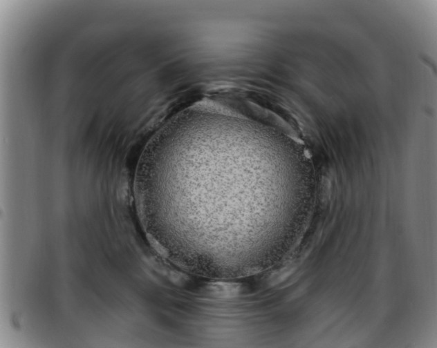 X0000096450328200801311456