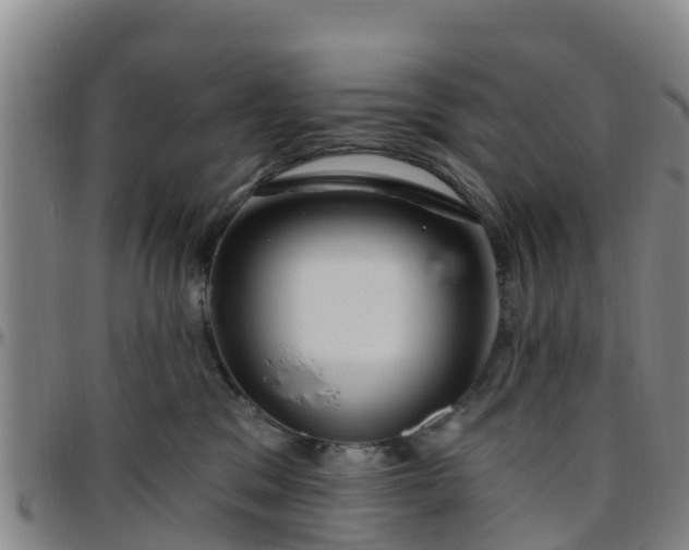 X0000096450329200801311456