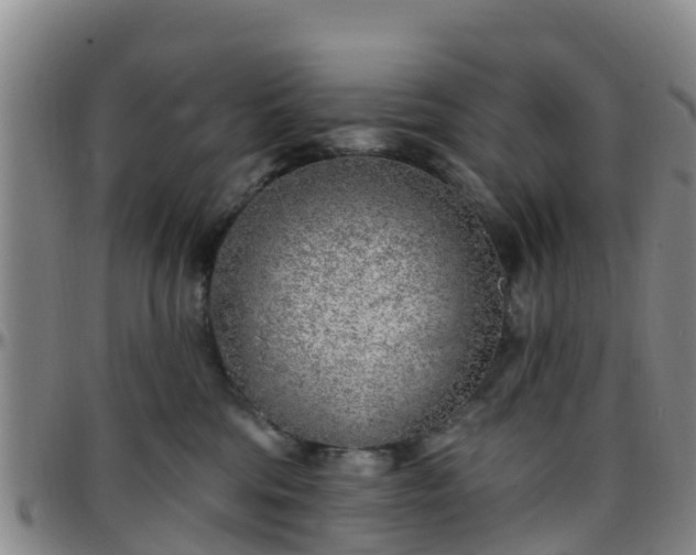 X0000096450330200801311456