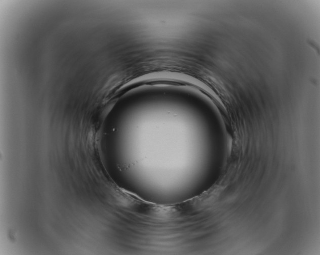 X0000096450333200801311456