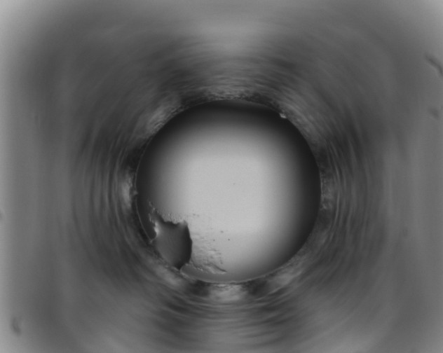 X0000096450334200801311456