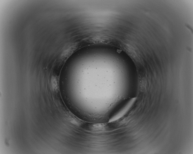 X0000096450335200801311456