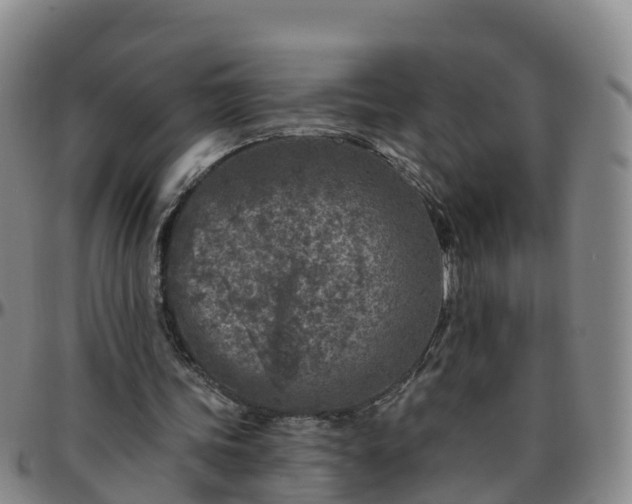 X0000096450339200801311455