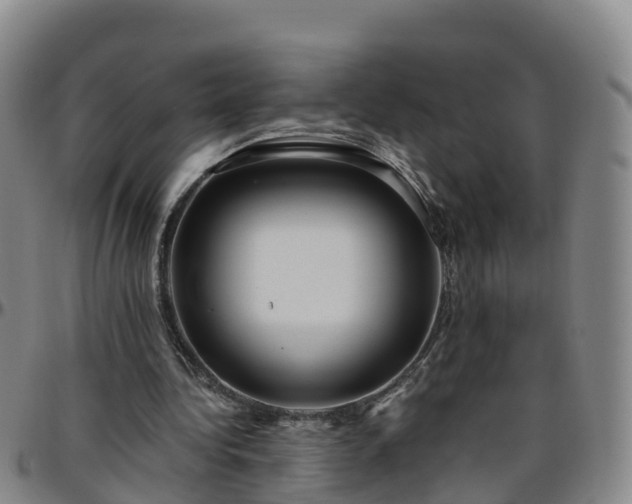 X0000096450340200801311455