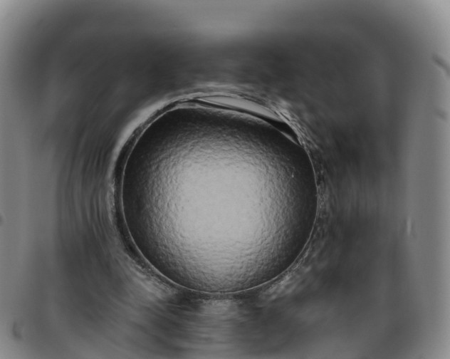 X0000096450342200801311455