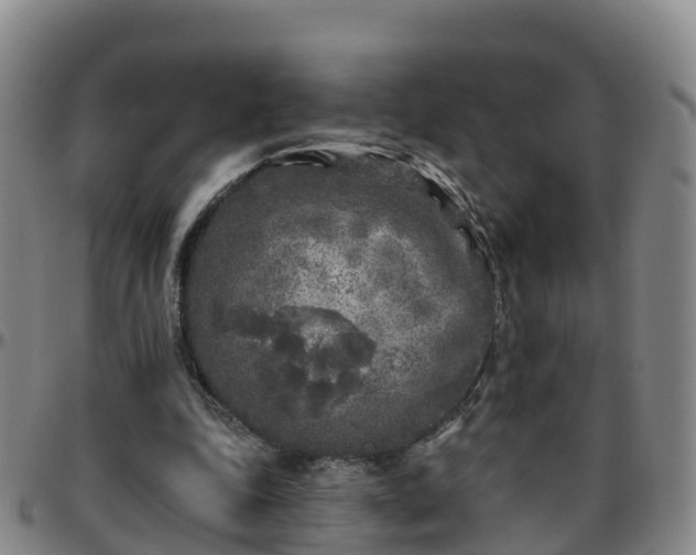 X0000096450343200801311455