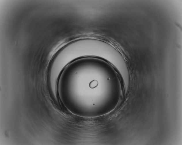 X0000096450344200801311455