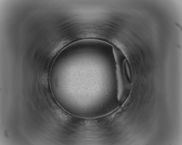 X0000096450345200801311455