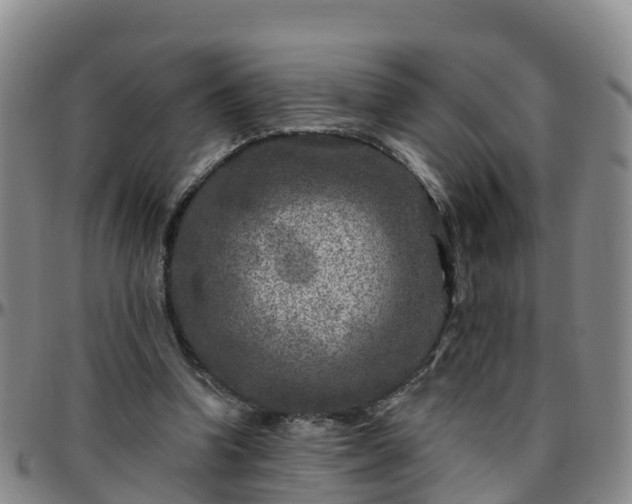 X0000096450346200801311455