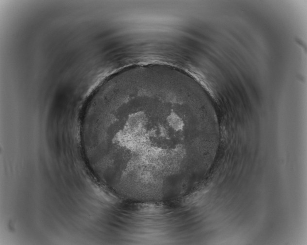 X0000096450347200801311455