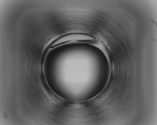 X0000096450348200801311455