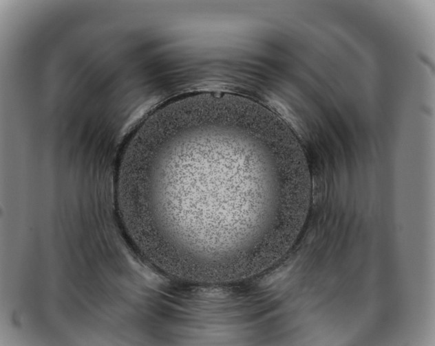 X0000096450349200801311455