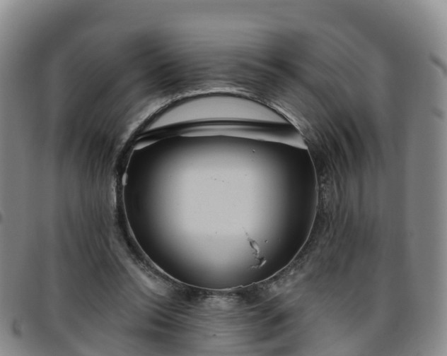 X0000096450350200801311455