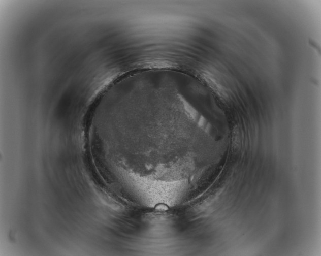 X0000096450351200801311455