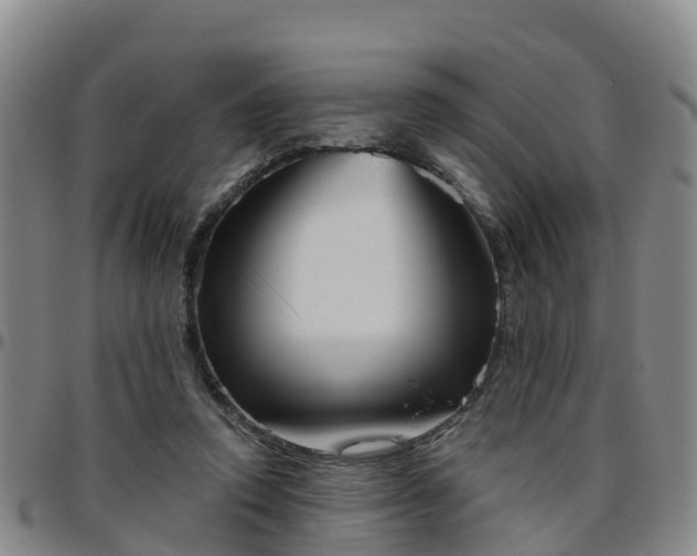 X0000096450354200801311455