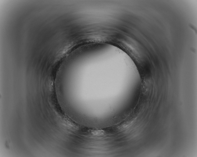 X0000096450355200801311455