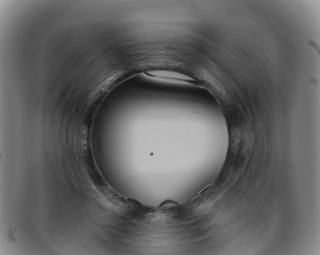 X0000096450356200801311455