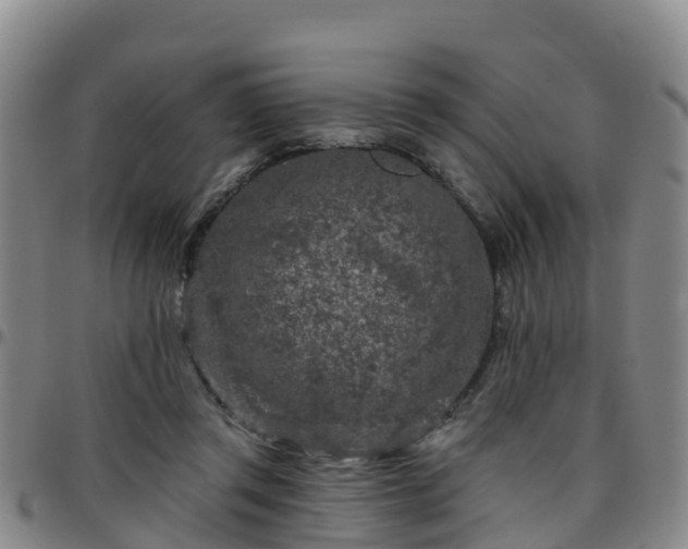 X0000096450357200801311455