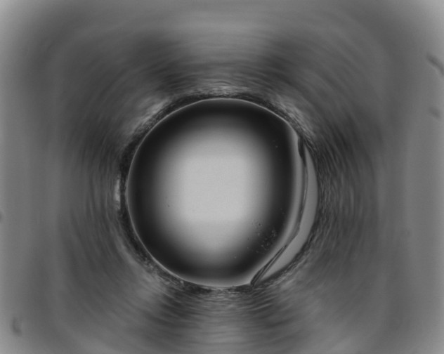 X0000096450358200801311456