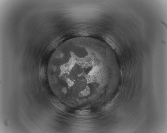 X0000096450359200801311456