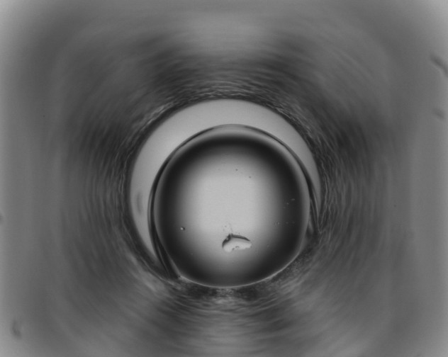 X0000096450360200801311456