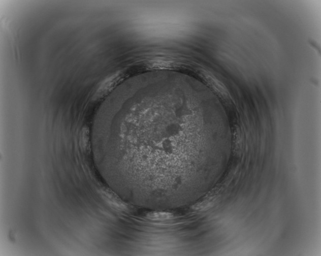 X0000096450361200801311456