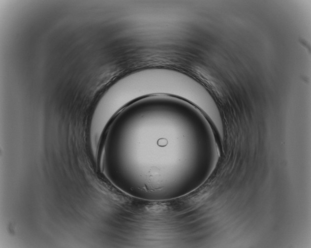 X0000096450362200801311456