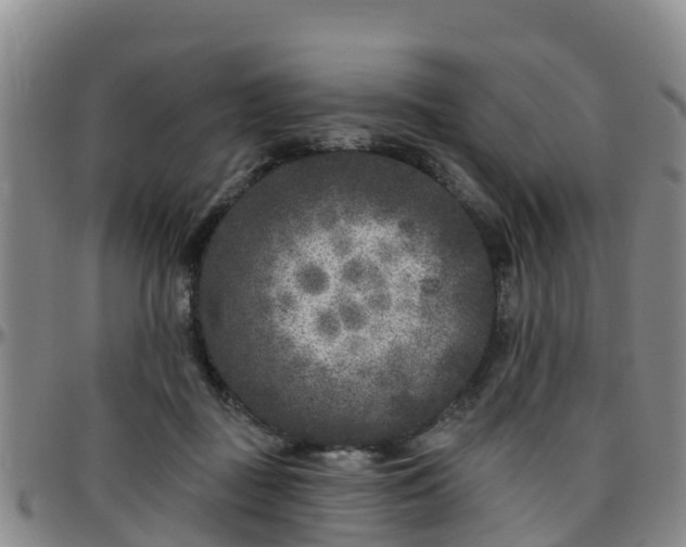 X0000096450363200801311456