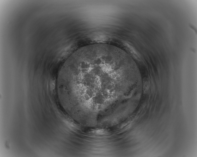 X0000096450365200801311456