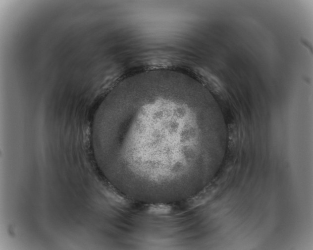 X0000096450369200801311456