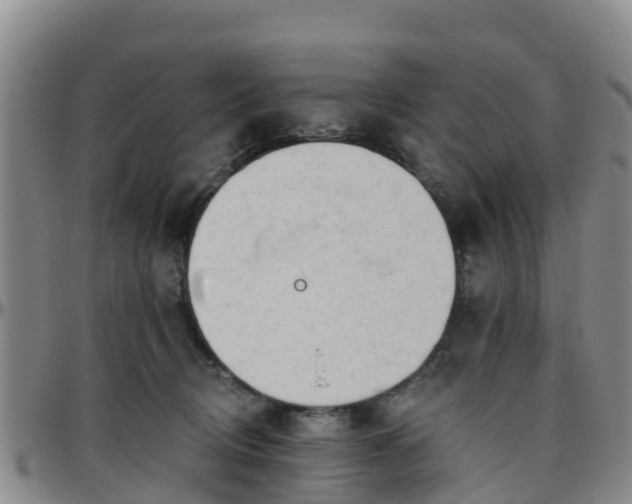 X0000096450370200801311456