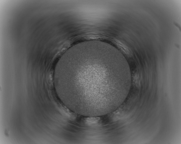 X0000096450373200801311456