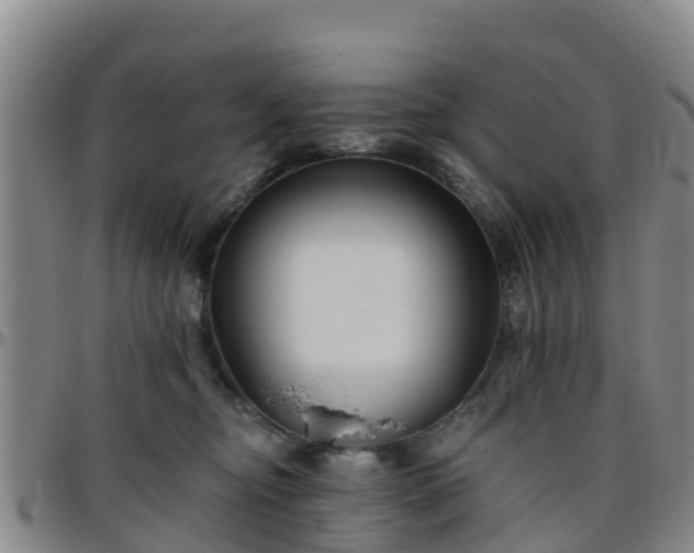 X0000096450374200801311456