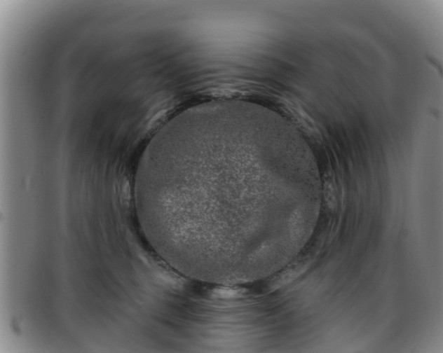 X0000096450375200801311456