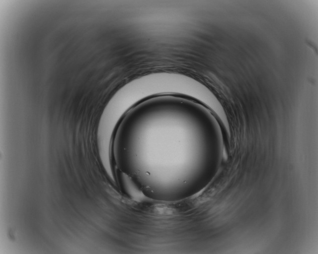 X0000096450376200801311456