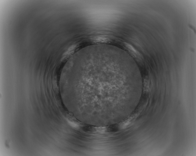 X0000096450377200801311456