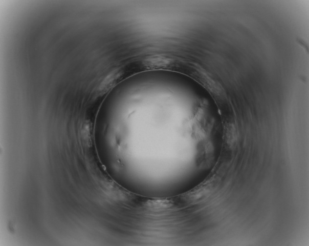 X0000096450378200801311456