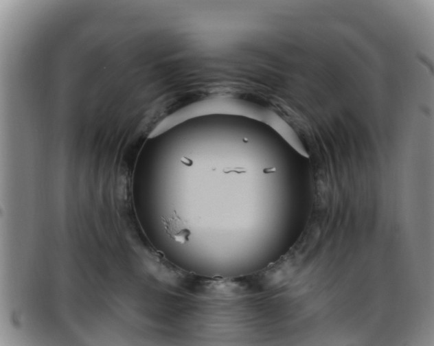 X0000096450379200801311456