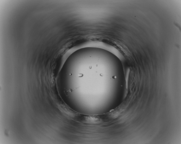 X0000096450380200801311456