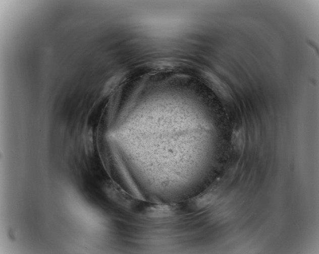 X0000096450381200801311456