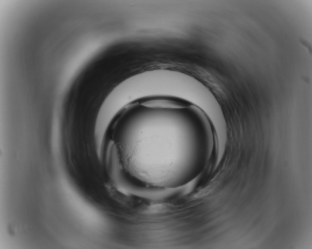 X0000096450382200801311456