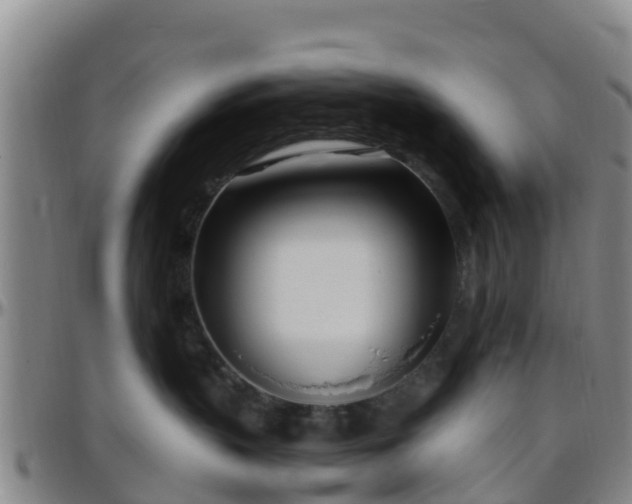 X0000096450383200801311456